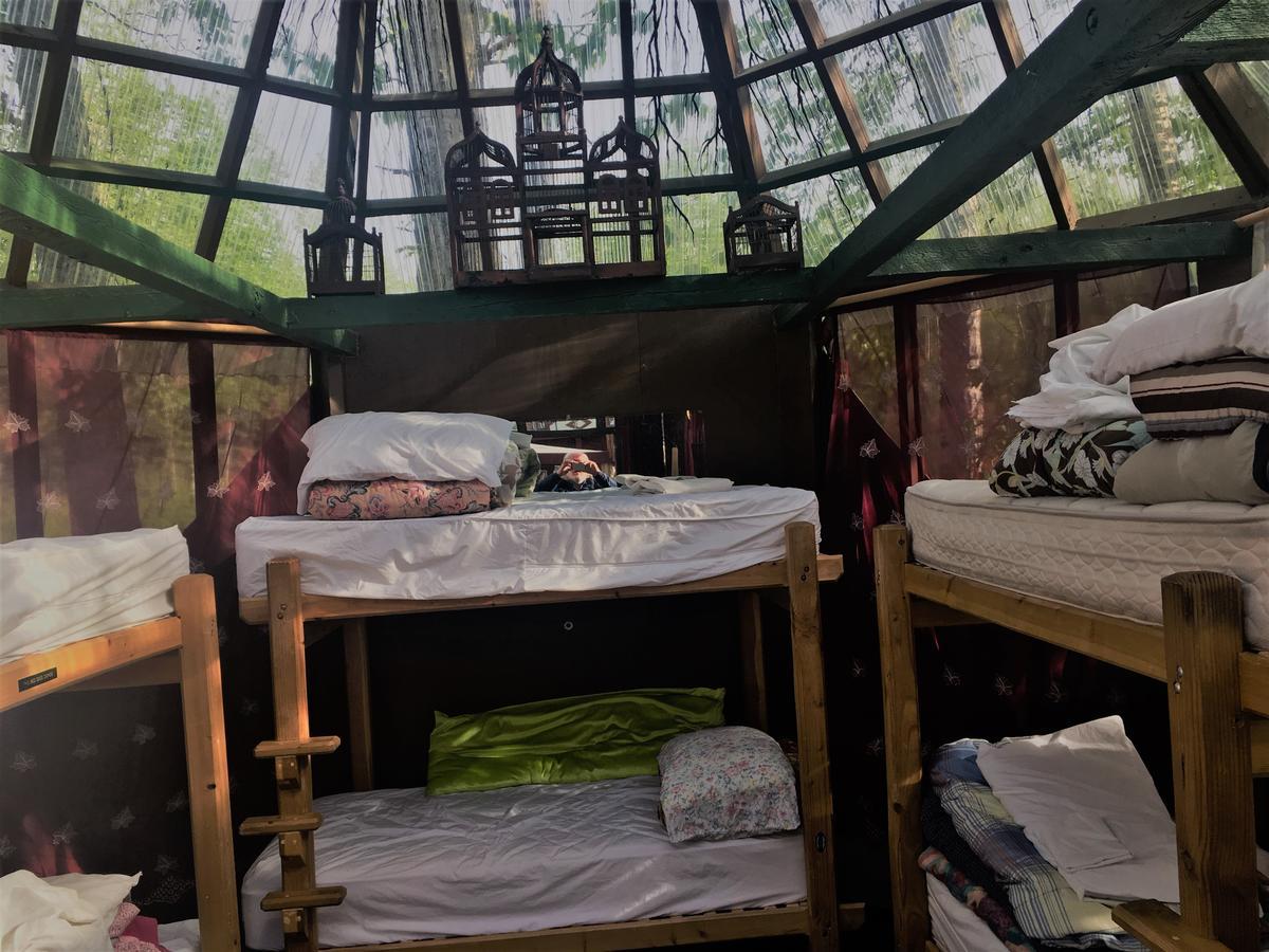 Hostal Billie's Backpackers *